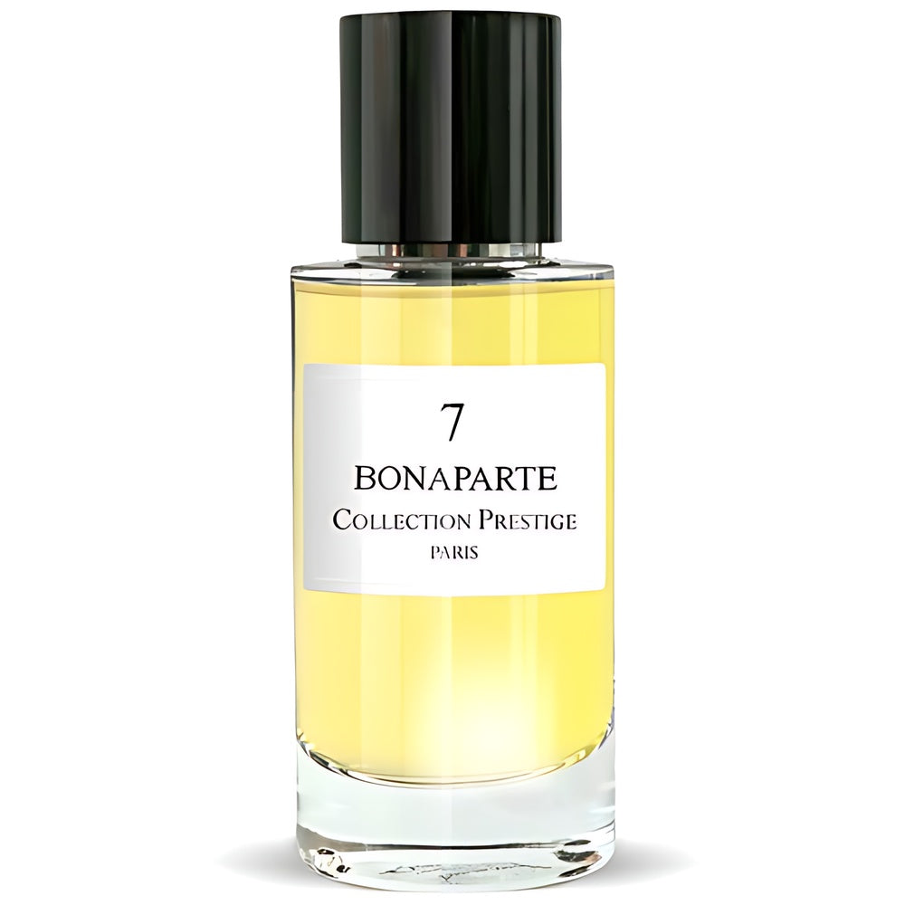 Collection Prestige Paris 7 Bonaparte